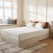 Twin XL 12" Foam Mattress - Home 12 | 39 H x 80 W D in Wayfair WFS-15CHM09-12-TXL