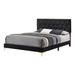 Winston Porter Kaylom King Tufted Low Profile Panel Bed Upholstered/Velvet, Metal in Black | 49.75 H x 80.4 W x 86.6 D in | Wayfair