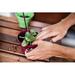 Ebern Designs Hands Preparing a Pot to Plant an Orchid by Benedicte Thierry - Wrapped Canvas Photograph Canvas in Brown/Green | Wayfair