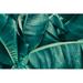 Bay Isle Home™ Tarek Tropical Banana Palm Leaf, Dark Green Toned On Canvas by Pernsanitfoto Photograph Canvas in Blue/Green | Wayfair