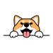 Winston Porter Cute Shiba Inu Dog Paws Up Over Wall, Dog Face Cartoon | 12 H x 12 W x 1.25 D in | Wayfair 9CE2887E95BA4B4DA8DFC3AAC5F3F2BB