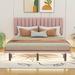 Ivy Bronx Queen Size Bed Upholstered/Velvet, Wood in Pink | 40.9 H x 62.2 W x 81.7 D in | Wayfair A1A5392180EA4750867045E2046FF20A