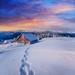 Ebern Designs Cottage In Snowy Mountains w/ Fabulous Winter Trees by Standret - Wrapped Canvas Photograph Canvas in Blue/White | Wayfair