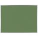 AARCO Vinyl Impregnated Cork Bulletin Board in Green | 48" H x 48" W | Wayfair DW4848213