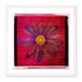 Four Hands Art Studio Vintage Flower Red by Pernille Westh - Picture Frame Print on Paper in Black/Indigo/Red | 24 H x 24 W x 1.5 D in | Wayfair