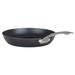 Viking 12-in Blue Carbon Steel Fry Pan