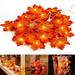 Morttic Thanksgiving Fall Maple Leaf Garland Lights 10ft 20 LED Maple Leaves Fairy Lights Battery Operated Waterproof String Lights for Indoor Outdoor Festival Party Fall Decor