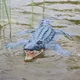 RC Toys 2.4G Electric Remote Control Crocodile Good Sealing Waterproof Swimming Pool RC Boat Toys