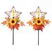 Collections Etc Solar Powered Autumn Star Candles Garden Stakes - Set of 2