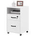 SmileMart 2- Drawer Wooden Vintage Mobile File Cabinet for Home and Office White