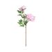 Meuva 2 Bouquets Artificial Peonies Dark Pink Light Pink Peony Flowers Of Peony Branches For Wedding Home Office Wet Foam Garland Artificial Winter Flowers Artificial Flower Arrangements