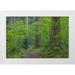 Jaynes Gallery 14x11 White Modern Wood Framed Museum Art Print Titled - USA-Washington State-Olympic National Forest Ranger Hole Trail through forest