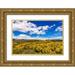 Bishop Russ 24x17 Gold Ornate Wood Framed with Double Matting Museum Art Print Titled - Wildflowers on rolling hills above Lake Te Anau-South Island-New Zealand