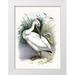Piddix 11x14 White Modern Wood Framed Museum Art Print Titled - American White Pelican