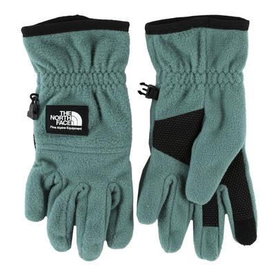 The North Face Etip Heavyweight Fleece Glove Green S Polyester,Elastine