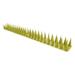 solacol Bird Spikes for Small Birds Bird Spikes Bird Deterrent Spikes for Small Birds Pigeon-Squirrel Raccoon Crow Cats Bird Defender-Spikes for Outside To Keep Birds Away Plastic Fence Spikes