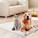 Tucker Murphy Pet™ 2 Pack Self Heated Heating Thermal Pet Cat Dog Bed Cushion Mat Washable Super Warm Rug Polyester/Fleece/Cotton in Brown | Wayfair