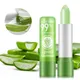 Wholesale Natural Aloe Vera Matte Lipsticks Color Changing Lipstick Tubes Lip Moisturizer