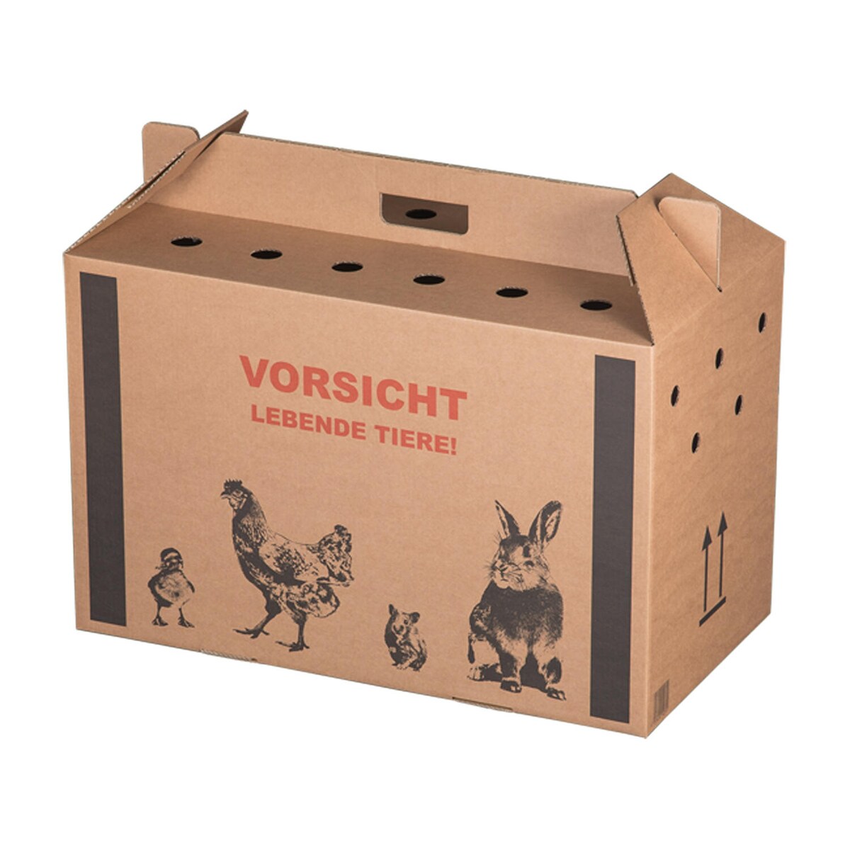 VEPATIM 10x Transportkarton für Kleintiere 580x310x370mm mit Tragegriff Luftlöchern und Automatikboden - Größe L Image