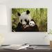 East Urban Home 'Giant Panda Gongzhu & Cub' Photographic Print on Canvas Canvas, Cotton in Black/Brown/Green | 16" H x 24" W x 1.5" D | Wayfair