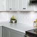 Fasade FASÄDE Chain Decorative Vinyl Backsplash 15 sq ft Kit Vinyl/PVC in Gray | 18.25 H x 24.25 W x 0.03 D in | Wayfair N7701