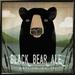 Loon Peak® Skinny Dip Black Bear Ale By Ryan Fowler, Framed Wall Art Paper, Glass in Black/Green | 13.6" H x 13.6" W x 1.5" D | Wayfair
