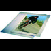 Full View Envelopes 11 1/2" x 8 3/4" with 9 3/4" x 7" Window 50 pack