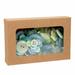 Kraft Paper Window Box with Attached PET Sheet 2 3/4" x 13/16" x 4 1/16" 25 pack