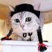 Sunisery Pet Hat Cute Cat Beanie Hat Soft Warm Braids Wig Hat Kawaii Pet Cosplay Costume Party Supplies