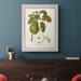 August Grove® Porterfield Vintage Pears IV Framed On Canvas Print Canvas in Black/Blue/Green | 41 H x 29 W x 2.5 D in | Wayfair