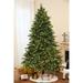 7Ft Pre-Lit LED Artificial Full Fir Green Christmas Tree