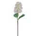 Vickerman 724170 - 34" Artfcl Wht Cone Hydrangea Spry 2/Bag (EF225241) Home Office Flowers