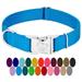 Country Brook Design - Vibrant 25+ Color Selection - Premium Nylon Dog Collar with Metal Buckle (Medium 3/4 Inch Wide Ice Blue)