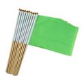 20 Pack Flag Small Mini Plain DIY Flags on Stick Party Decorations for Parades Grand Opening Kids Birthday Party Events Celebration 14 x 21cm