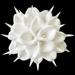 UKELER 20 Pcs White Artificial Flowers Lifelike Calla Lily Flower Arrangements Calla Lily Artificial