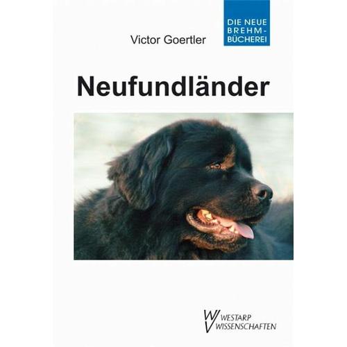 Neufundländer und Landseer - Victor Goerttler