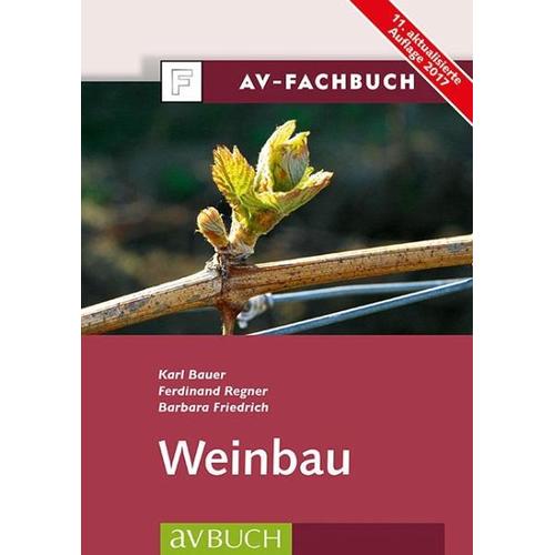 Weinbau – Karl Bauer, Ferdinand Regner, Barbara Friedrich