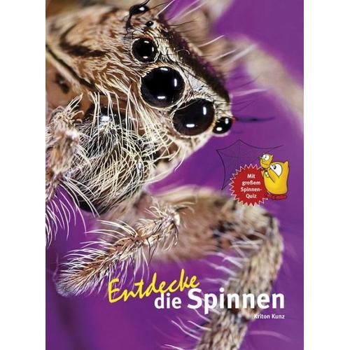 Entdecke die Spinnen – Kriton Kunz