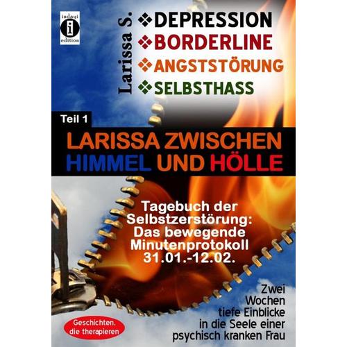 DEPRESSION – BORDERLINE – ANGSTSTÖRUNG – SELBSTHASS Teil 1: Larissa zwischen Himmel und Hölle-Tagebuch der Selbstzerstörung – Larissa S.