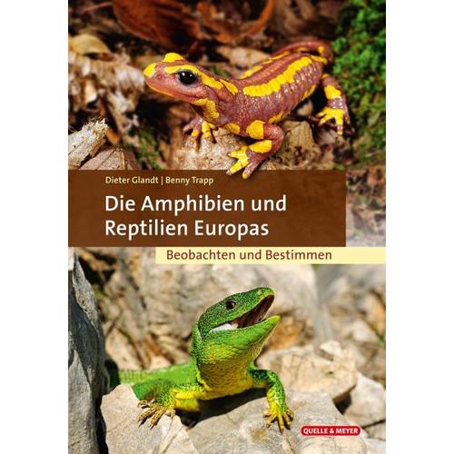 Die Amphibien und Reptilien Europas – Benny Trapp, Dieter Glandt