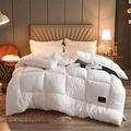 SHUOJIA Soybean Fiber Duvet Quilt - Fluffy Comforter Comfortable Winter Soft Warm Bed Quilt Thick Warm, for Home Bedroom (White,220 * 240-3kg)