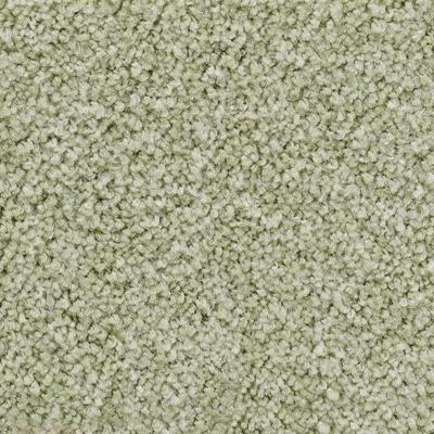 VORWERK Teppichboden "Veloursteppich Passion 1055" Teppiche Gr. B/L: 500 cm x 900 cm, 7,6 mm, 1 St., grün (hell, grün) Teppichboden