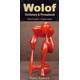 Wolof-English/English-Wolof Dictionary & Phrasebook