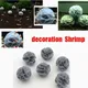 10pcs From The House Breeding To Avoid Watch The Shrimp The Decoration Shrimp Hiding Aquarium