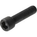 Hillman 880314 Standard SAE Socket-Head Cap Screw Black 1/4 -20 x 2 2-Pack