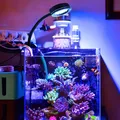 Marine Aquarium LED Light For 30~50CM Marine Reef Tank For Coral LPS 100~240V