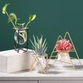 Vase à fleurs pour plantes hydroponiques Terrarium récipient en verre Art nordique rétro