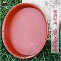 10Pcs Flower Pot Saucer Plant Tray for Pots Thick Flowerpot Round Plate Bonsai Pot Saucer Flowerpot Tray