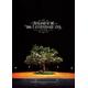 RINGOMUSUME 20th+1 ANNIVERSARYLIVE 〜りんごの木〜(DVD)