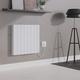 NRG 2000W Electric Ceramic Radiator with Wi-Fi Model, Portable Plug In Electric Heater, Free Standing or Wall Mountable White